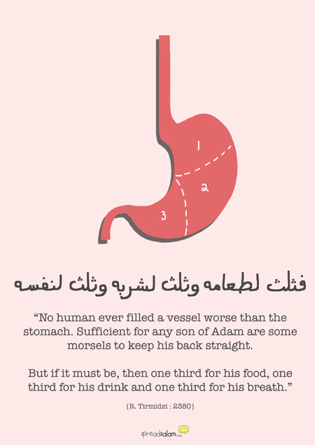 Muslim Anatomy - Tummy